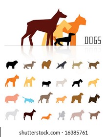 vector dogs of various breeds