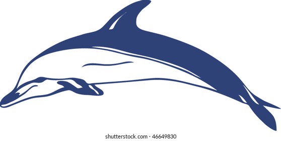 vector dolphin