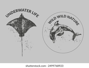 Vector dolphin and eagle ray illustration. Black ink sea animal sketch with grunge texture for prints and labels background. Wild life ocean creature drawing.