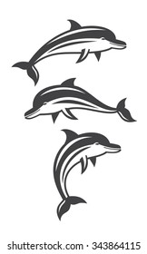vector of a dolphin icon set on white background