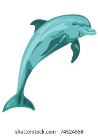 vector dolphin jumping