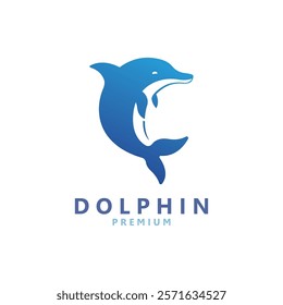 Vector Dolphin Logo Creative Design. Simple and Cute Dolphin Icon.