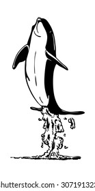 vector -  Dolphins  jumping out of the water