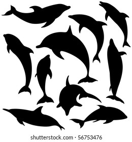 Vector Dolphins. These illustrations are in layer and are easy to edit color.