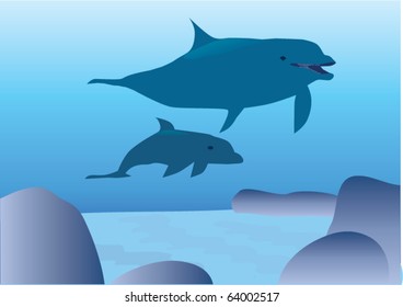 vector dolphins under water