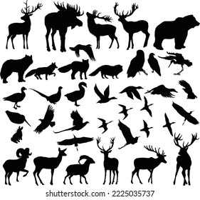 vector domestic and wild animals shapes |Farm animals vector