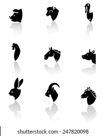 Vector domesticated animals icons set: horse, sheep, cow, chicken, rooster, pig, rabbit, donkey, goat