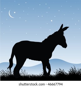 vector donkey