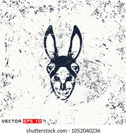 Vector donkey head on grunge background