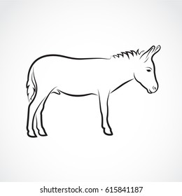 Vector of a donkey on white background. Wild Animals.