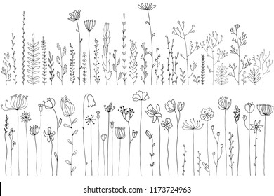 Vector doodle abstract drawing herbs and flowers, floral elements