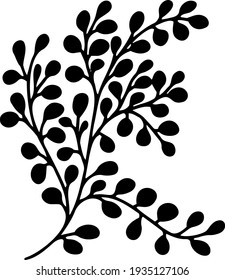 Vector doodle abstract drawing herbs and flowers, minimal floral elements desing