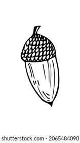 Bellota vectorial de otoño aislada en fondo blanco. Ilustración perfecta para el diseño estacional, textil, decoración, sala de juegos infantil o tarjeta de saludo. Regalos de caída hechos a mano.