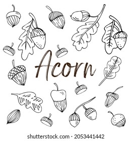 Vector doodle autumn set with acorns and oak leaves isolated on white background. Cute illustration for seasonal design, textile, decoration kids playroom or greeting card. Hand drawn gifts of fall.