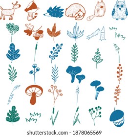 vector doodle autumn woodland animals and herbs