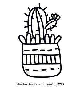 Vector of a doodle of a beautiful small houseplant made in line to paint. From the cactus and succulent family