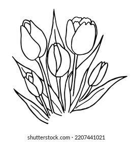 Vector doodle black contour of a tulip flowers isolated on a white background.