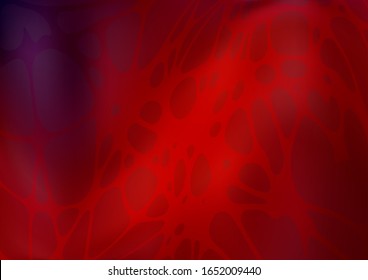 Vector doodle blurred texture. Colorful abstract illustration with lines drawn by child in Asian style. The completely new template can be used for your brand book.