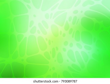 Vector doodle blurred texture. Creative illustration in blurred style with doodles made by child. A completely new design for your business.