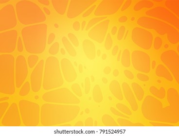 Vector doodle bright layout. Childish elegant natural pattern with gradient. A completely new template for your business design.