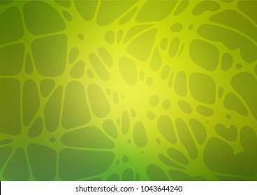 Vector doodle bright layout. A completely new color illustration in doodle style drawn by child. The textured pattern can be used for website.