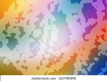Vector doodle bright template. Childish elegant natural pattern with gradient. The doodle design can be used for your web site.