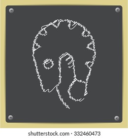 Vector doodle chalk drawn shrimp icon on school blackboard 