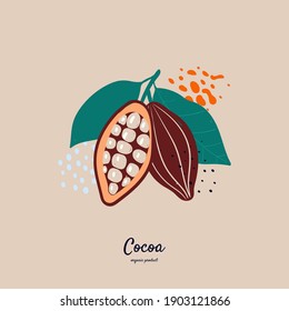 Vector doodle cocoa and abstract elements. Hand drawn illustrations.