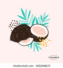 Vector doodle coconut. Hand drawn illustrations.