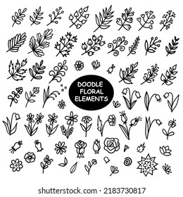 Vector doodle collection of floral elements. Cartoon line illustrations of flowers, twigs, branches, buds, bells, roses, daisies and leaves isolated on a white background.