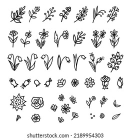 Vector doodle collection of floral elements. Cartoon line illustrations of flowers, twigs, branches, buds, bells, roses, daisies and leaves isolated on a white background.
