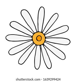 Vector doodle colofrul daisy on white background.