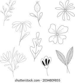 vector doodle cute flowers twigs leaves berries set of logos cartoon style black lines silhouettes