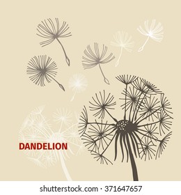 Vector Doodle Dandelion Vintage Sketch. Eps-8