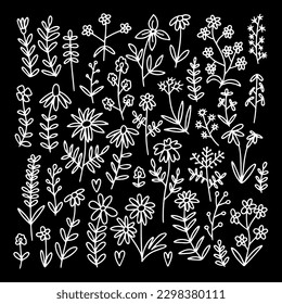 Vector doodle different kinds of flowers and herbs set. Big botanical wild flowers set