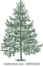 Vector doodle drawing of silhouette abstract green fir tree