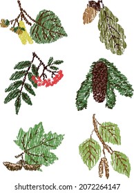 Vector doodle drawings of set leaves, seeds and fruits of different trees