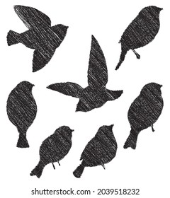 Vector doodle drawings of set silhouettes abstract birds
