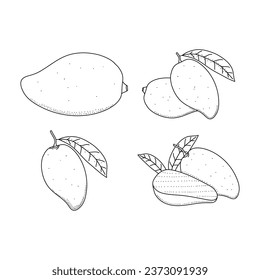 Vector doodle elements set of mango fruit. Hand drawn outline of mango fruit isolated on white background