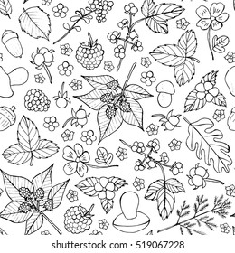 Vector doodle floral pattern. Graphic collection with leaves, flowers, raspberries, strawberries, mushrooms and walnuts