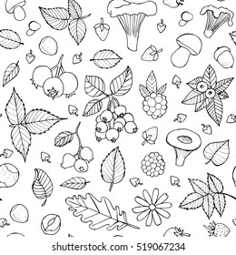 Vector doodle floral pattern. Graphic collection with leaves, flowers, raspberries, strawberries, mushrooms and walnuts