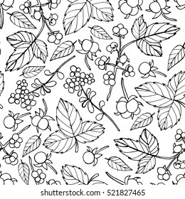 Vector doodle floral pattern. Graphic collection with leaves, flowers, raspberries, strawberries, mushrooms and walnuts