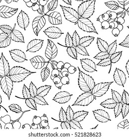 Vector doodle floral pattern. Graphic collection with leaves, flowers and berries