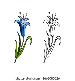 Vector doodle flower coloring page outline, hand-drawn, sketch and cartoon style, spring motif primrose, decorative element for greeting cards, children’s books. Blue bell Isolated on white background