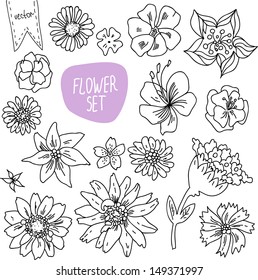 Vector doodle flower set