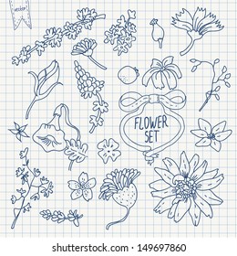 Vector doodle flower set on squared paper