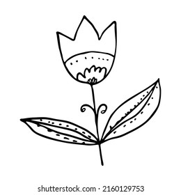 Vector doodle flower simple style. Isolated linear handdrawn tulip with leaves on white background