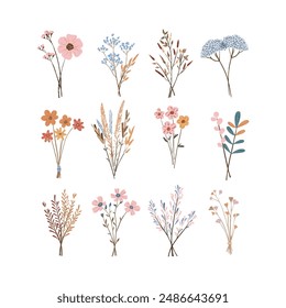Vector doodle flowers collection. Set of botanical elements hand draw. Summer bouquets