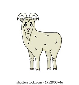 Сute vector doodle fluffy cartoon farm goat male buck with long beard stands sideways and looks to the left. Isolated hand drawn Animal on white background, side view