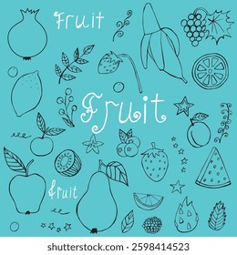 vector doodle fruits on blue backgroundX